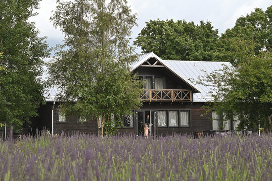 Viesu māja “Lavander Beach villa” 